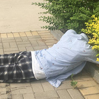 ����è���Һ�����ÿ���è��������...��