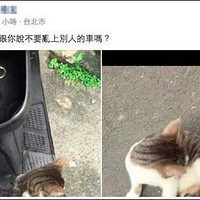 С���ﳵ��·����Ҫ�������������ɣ����Ų��ߣ�С��ֻ��������~