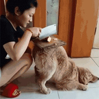 Ȼ˼ҵĹûʧ
