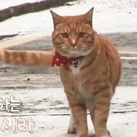 Ϊ�˴�лƽʱ�ͷ��ľ��񣬴��ٱ��������ʲ�