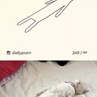 �����˵�������ԭ���������ģ�