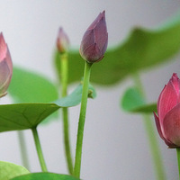 Ǯ���� �� ����