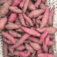 �ٰ�С������Ŵ����