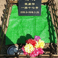 ���Ҽ�����ٵ�è���������ꡣ��