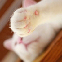 è��������ʲôζ����������ζ��....