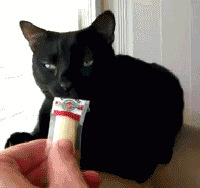 ��ܶ�Զ֮���������������������ղ���