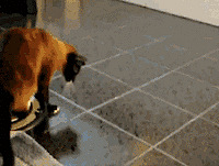 �����˺����������ò�˵���ǵ��¶���