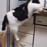 ��ţ����������������Ĵ��ڣ����ǵ���·����Զ����������