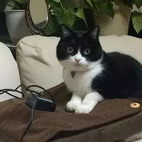 �����˸���Ħ��������ţ�������󣬻���һ��Ц�磡