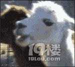 ڿƼرƶԴܻȻܸ
