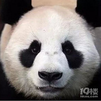 �����������۲�����˵ȥ�۴����������ſ��ף�