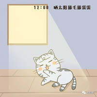 �������ռǲ�