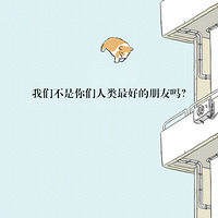 ���й�Ű��Űèͼ�������ӵù��������ˣ��Ӳ���������