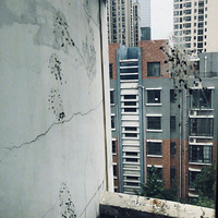 �Ҽ�è��һֻ��𴳳�ܣ������������...