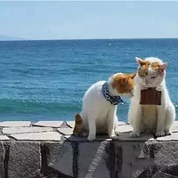 ��ֻ�����˵��ձ������ռ�