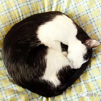 ���Ե����ж�����������ţ���������²��£�