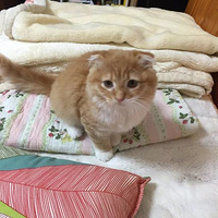 ��ʺ�ٵ��������˵ı仯�������ˣ�