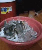 ̩������������ȣ������¼�������������ˣ�����...