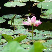 ������ �� �ɻ�