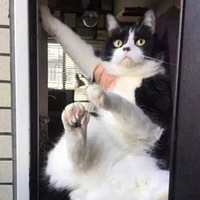 �ÿ��������Ϳ͵��ſڣ��������ᡣ����