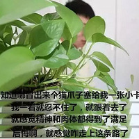 ���߰��õ��¡���è����������ҵ��Ļ�����𾪣�