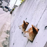 ˭˵Ȯɰԭ˽һ£