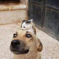 ˹ĺȫزÿ챯ˣֱСèſڱϣЦˣ