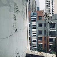 ��ֻ��ѻÿ�ο�����è�ڴ��ߣ��ͻ��������ʺ...