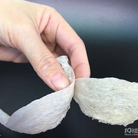 ��������ݷ������󡪡����ԭ����ô��~~~