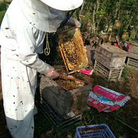 ����ũ�Ұٻ���