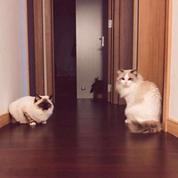 ������è