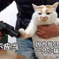 �������ڣ����ҵ�èѡ���˰�����...��