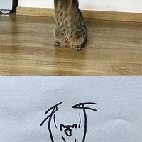 ��������껭è������������������������ڡ����ꡱ...