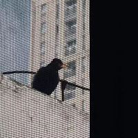 �������Դ�������������һֻ����񣬼���Ĵ�������Ҳû�ɾ�����