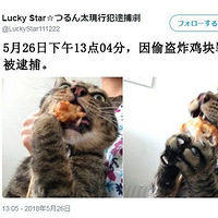 �������£����ڵ������Ѿ���ôĿ�޷�������