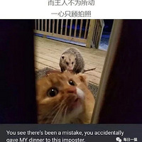 ��è��è������͵�ԣ�����ץס����è������