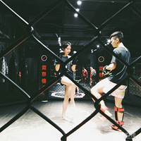 ��ɳ�н���ȭ��С����������ʼѧ̩ȭ��mma