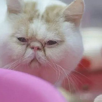 ���������ǵ���������ʲô������