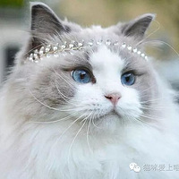 ��϶������ǵĹ�������������ȹ��ˮ������