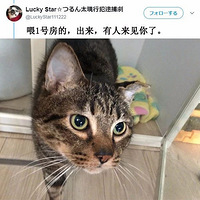 �����˹��컯��͵��ը��������ʺ�ٴ�������...