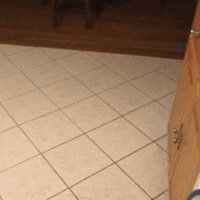 ���������è�����̱����