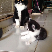 ����˵è�ְ����ˣ���Ը���һ�����������ģ�