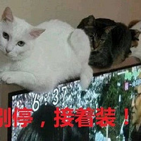 ����������̫���ޣ���Űè��ħ̫�ѷ�