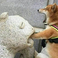 �����׼�������������˳���������ͷ��