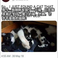 С��û����è��һ��˯��ȴ������è�󻧣��������5ֻè���±���