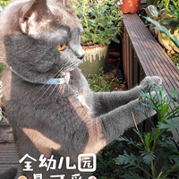 ˭�����Ǹ���������һ�ڿ��֣�