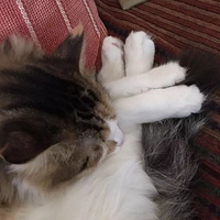 ��������͸¶�Ÿ��ŵ������ˣ��Թ����ø�������