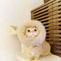 ��ֻС����С��è���ȣ����˸����ϸ��ֿɰ�ñ�ӣ�˲�������..