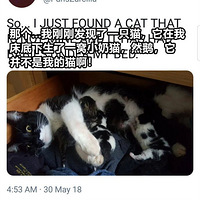 ����˯�ѷ����Լ�ϲ��è����������è�����ҵİ�...��