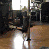 û�뵽�����������������ַ���������죡